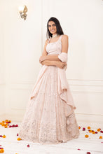 Load image into Gallery viewer, Daisy Mirror Lehenga | Petal Pink