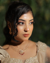Load image into Gallery viewer, Ranjini Debnath | Hanging Crystal Saree
