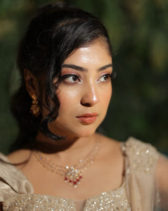 Ranjini Debnath | Hanging Crystal Saree