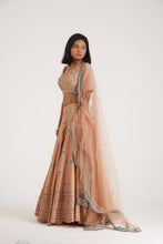 Load image into Gallery viewer, Shanaya Gota lehenga | Peach

