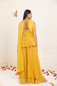 Daffodil Mirror Sharara Suit | Spicy Mustard