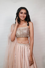 Load image into Gallery viewer, Aurora Lace Embroidery Lehenga | Rose Gold
