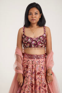 Alia Rose Sequins Lehenga | Red & Pink