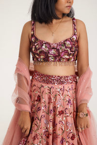 Alia Rose Sequins Lehenga | Red & Pink