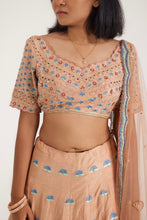 Load image into Gallery viewer, Shanaya Gota lehenga | Peach
