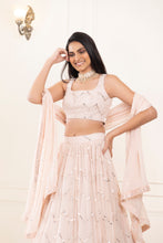 Load image into Gallery viewer, Daisy Mirror Lehenga | Petal Pink
