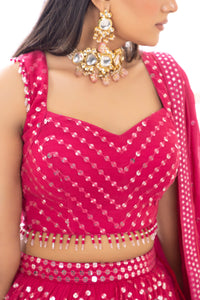 Carnation Mirror Lehenga Set | Rani Pink